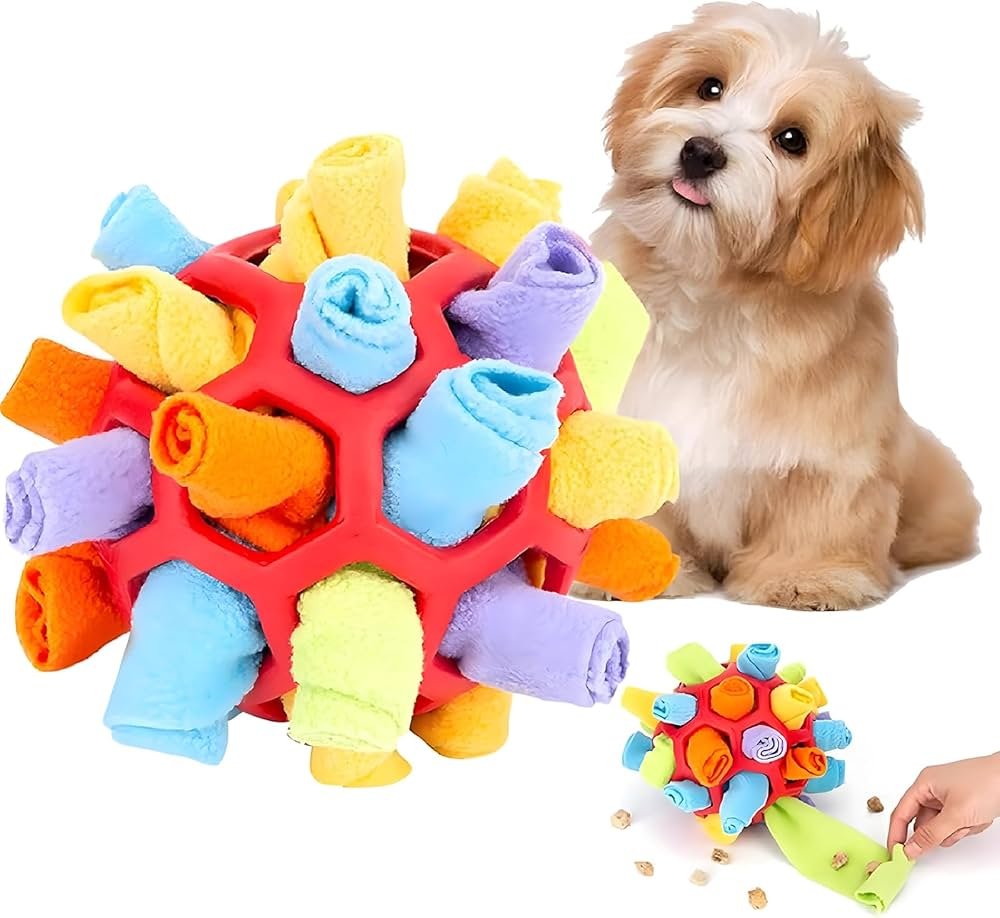 Mejores ejercicios para perros de raza pequeña