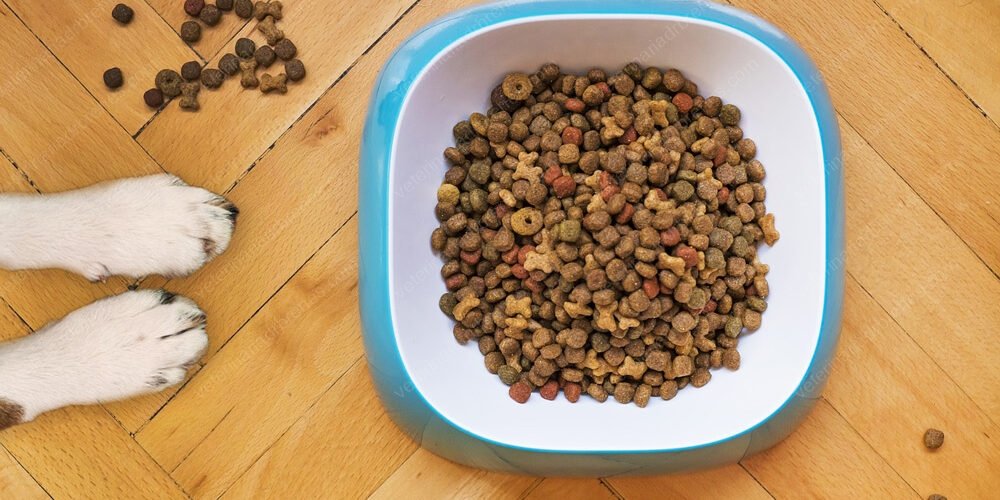 Costos de tener un perro pequeño